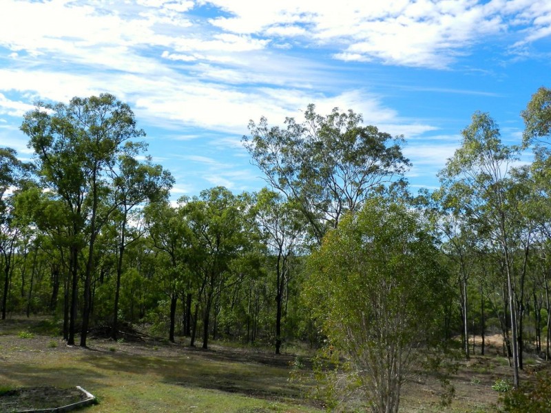 293 Mineral Road, Rosedale QLD 4674
