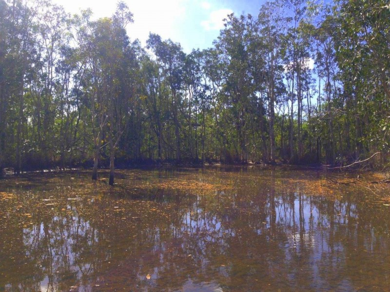 Captain Creek QLD 4677