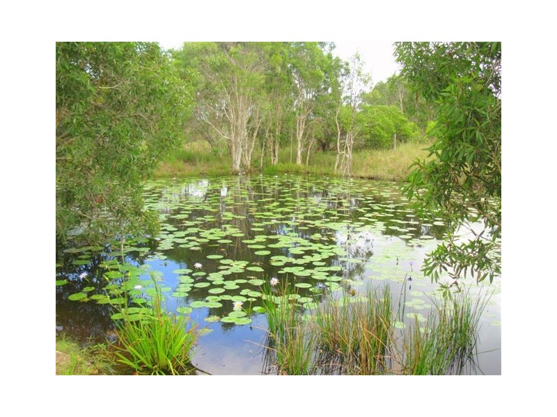 Agnes Water QLD 4677