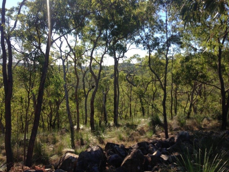 Captain Creek QLD 4677