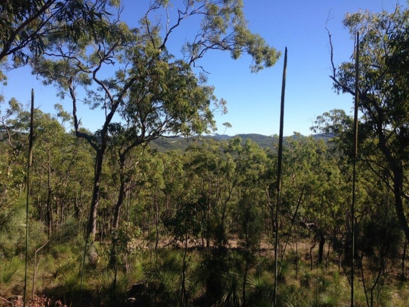 Captain Creek QLD 4677