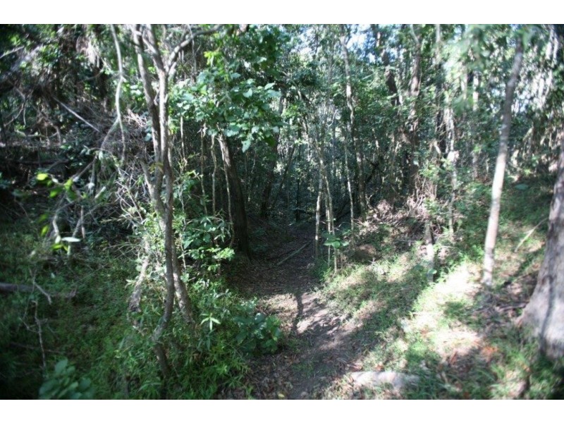 Lot 12 Quarry Road, Round Hill QLD 4677
