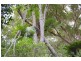 Lot 12 Quarry Road, Round Hill QLD 4677