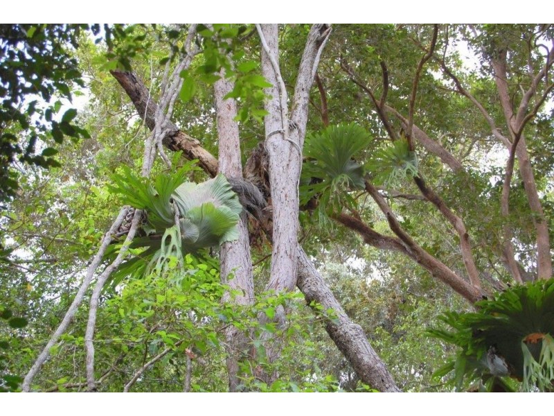 Lot 12 Quarry Road, Round Hill QLD 4677