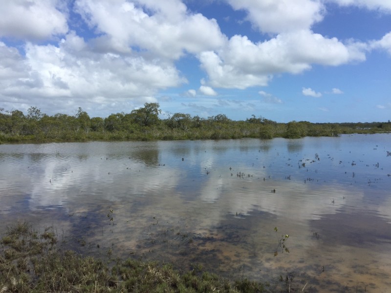 Agnes Water QLD 4677