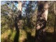 Lot 78 Mcghee Crescent, Agnes Water QLD 4677