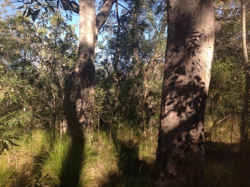 Lot 78 Mcghee Crescent, Agnes Water QLD 4677