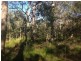 Lot 78 Mcghee Crescent, Agnes Water QLD 4677