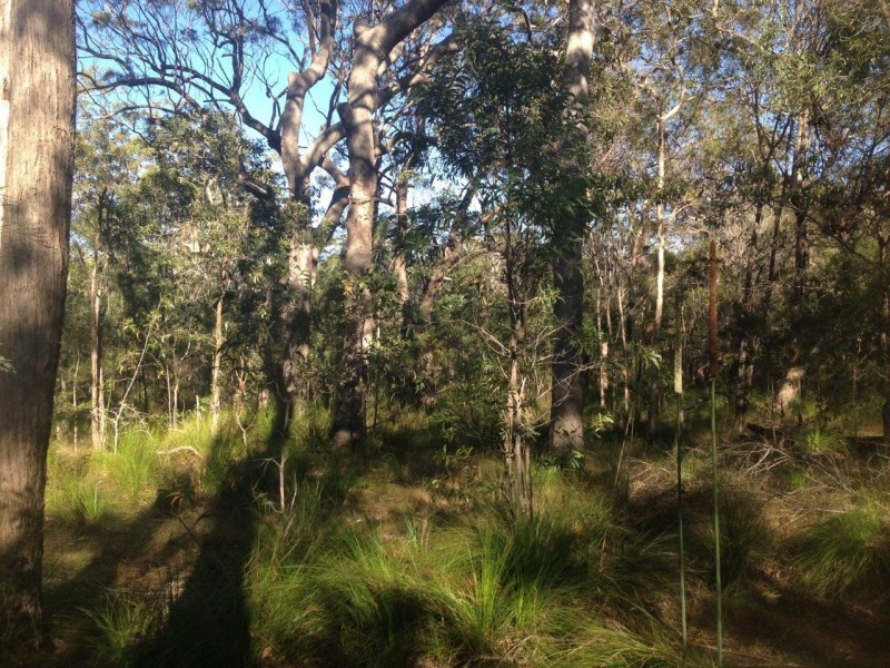 Lot 78 Mcghee Crescent, Agnes Water QLD 4677