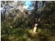 Lot 78 Mcghee Crescent, Agnes Water QLD 4677