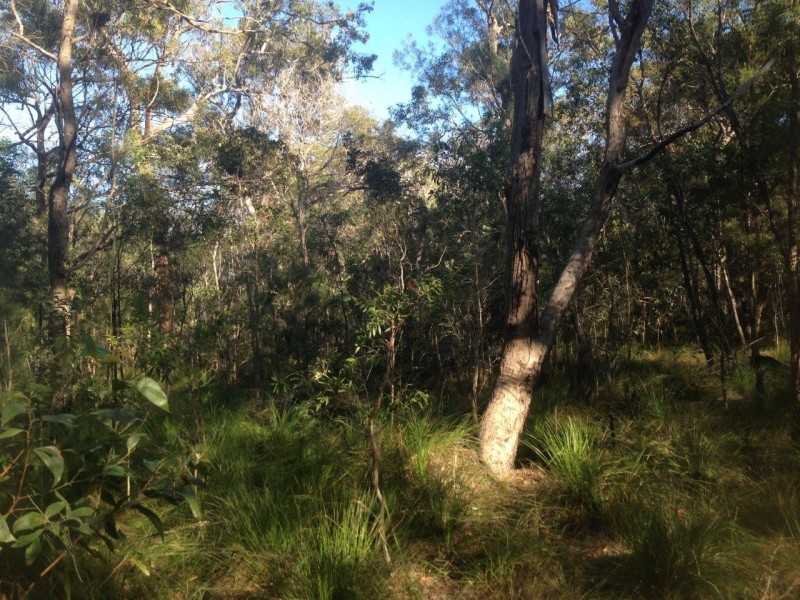 Lot 78 Mcghee Crescent, Agnes Water QLD 4677