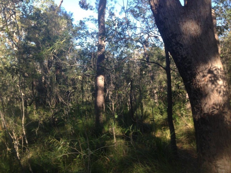 Lot 78 Mcghee Crescent, Agnes Water QLD 4677