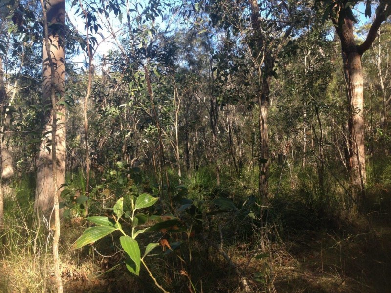 Lot 78 Mcghee Crescent, Agnes Water QLD 4677
