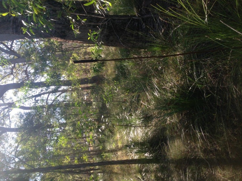Lot 78 Mcghee Crescent, Agnes Water QLD 4677