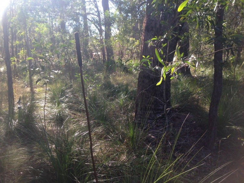Lot 78 Mcghee Crescent, Agnes Water QLD 4677