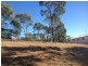 8 Seaspray Drive, Agnes Water QLD 4677