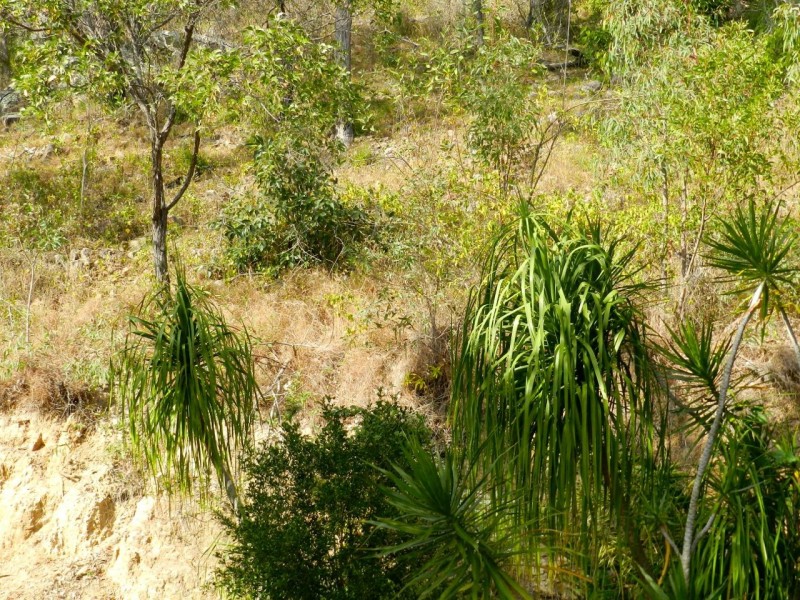 100 Josefski Road, Agnes Water QLD 4677