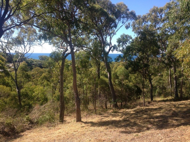 57A Seaspray Drive, Agnes Water QLD 4677