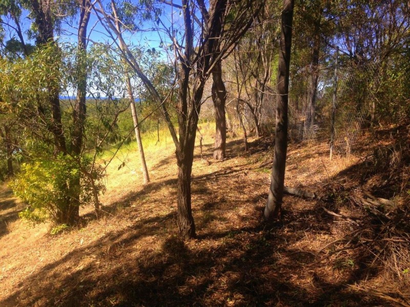 57A Seaspray Drive, Agnes Water QLD 4677