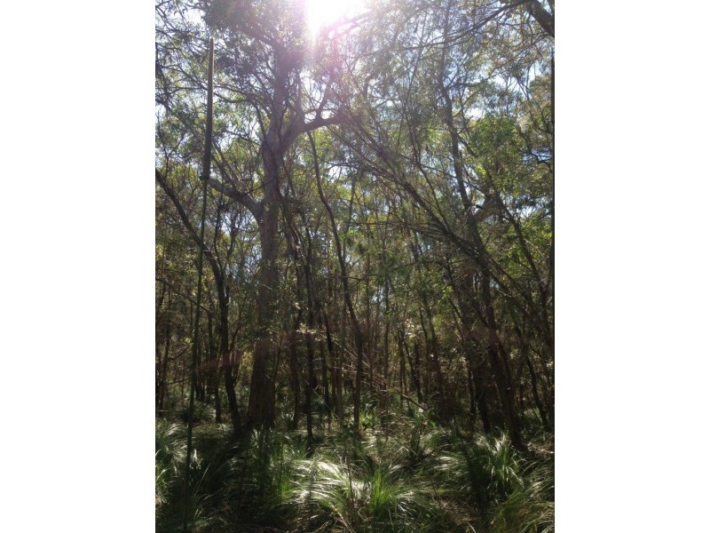 Agnes Water QLD 4677