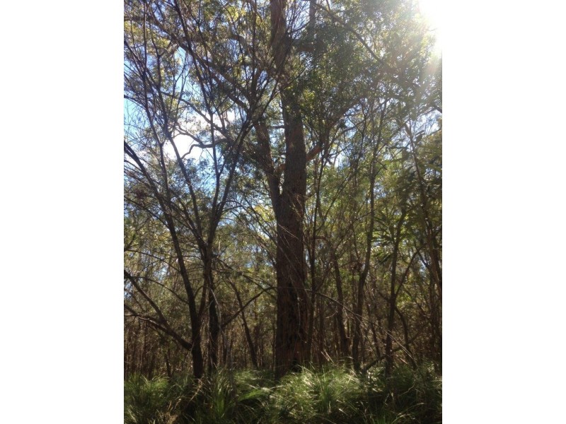 Agnes Water QLD 4677