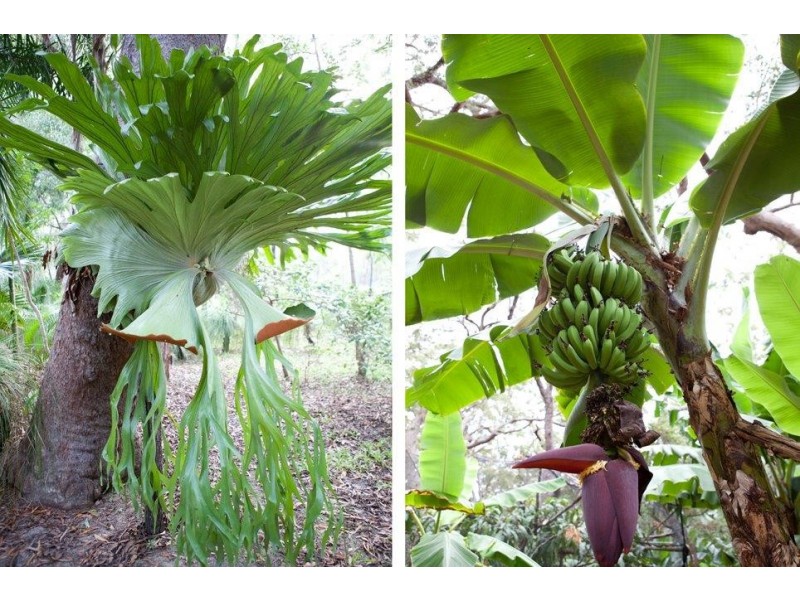 428 Lady Elliot Dr, Agnes Water QLD 4677