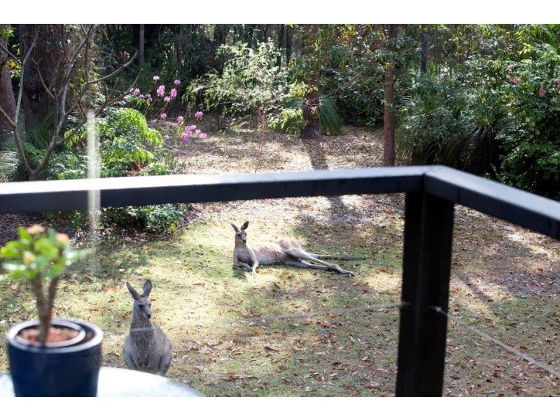 428 Lady Elliot Dr, Agnes Water QLD 4677