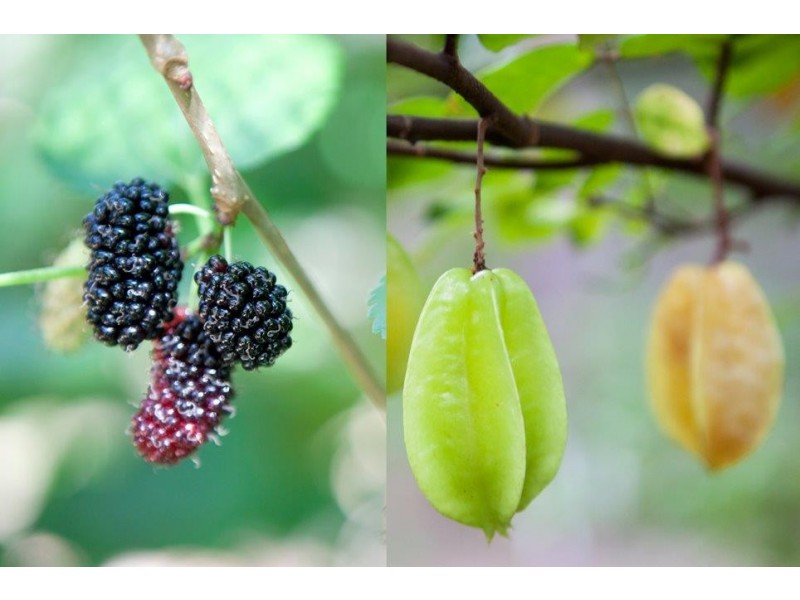 428 Lady Elliot Dr, Agnes Water QLD 4677