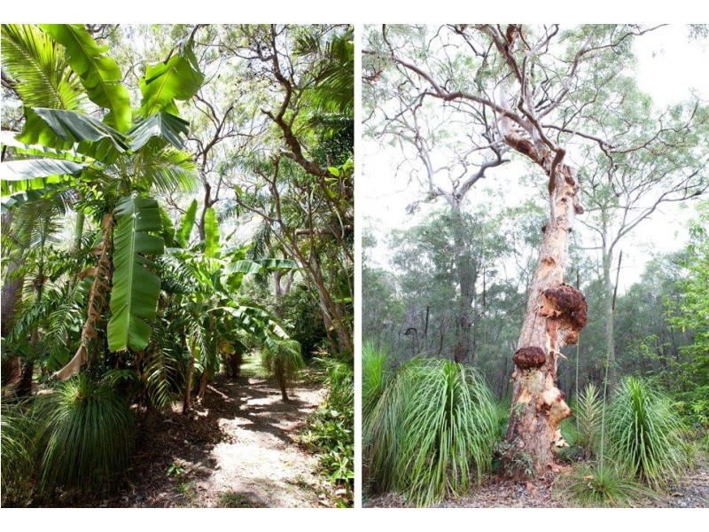 428 Lady Elliot Dr, Agnes Water QLD 4677