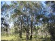 Captain Creek QLD 4677
