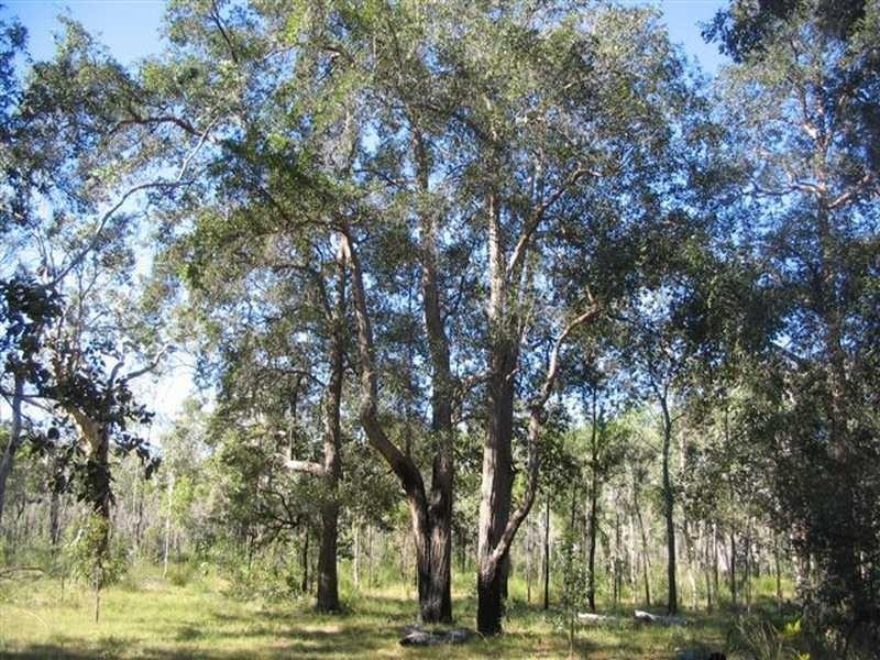 Captain Creek QLD 4677