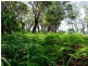 Lot 133 – 552 Springs Road, Agnes Water QLD 4677