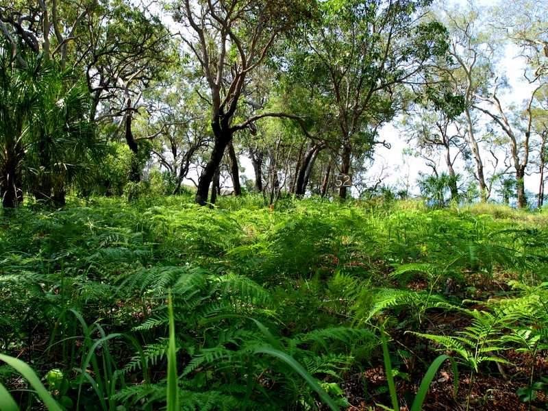 Lot 133 – 552 Springs Road, Agnes Water QLD 4677