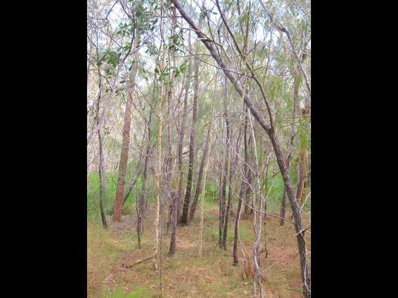 Agnes Water QLD 4677
