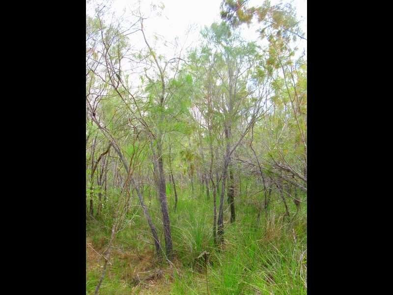 Agnes Water QLD 4677