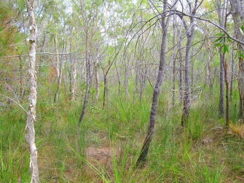 Agnes Water QLD 4677