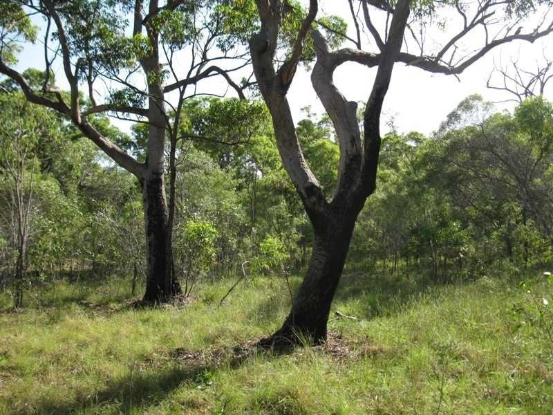 Captain Creek QLD 4677