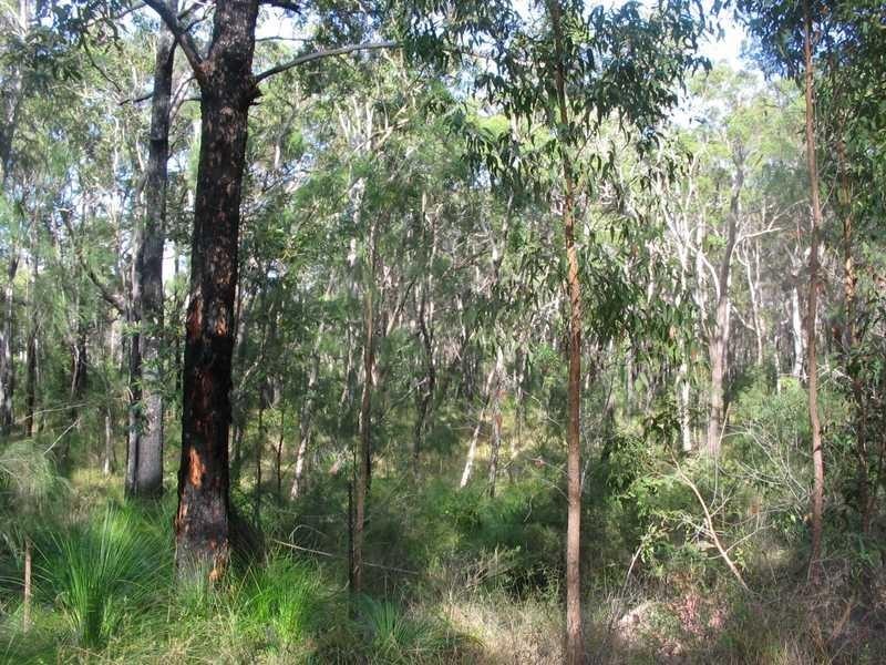 Captain Creek QLD 4677