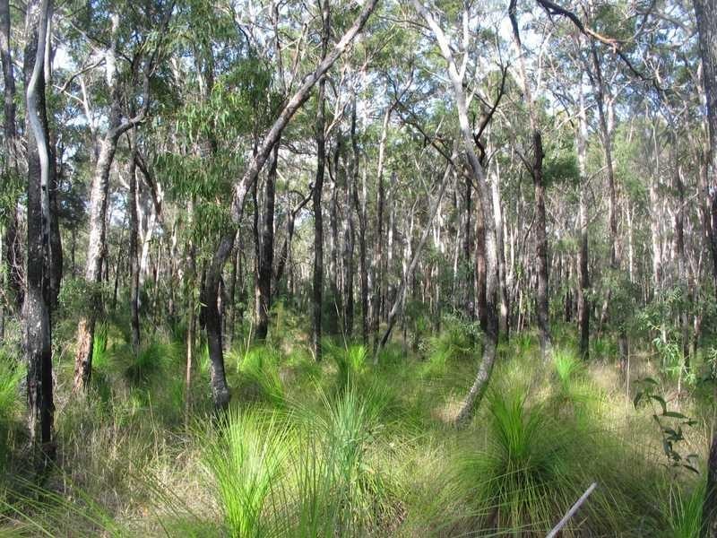 Captain Creek QLD 4677