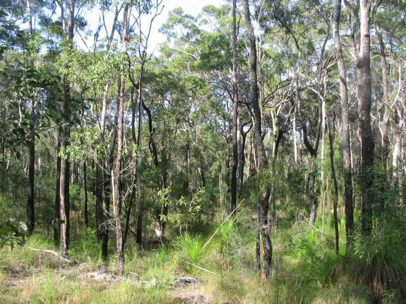 Captain Creek QLD 4677