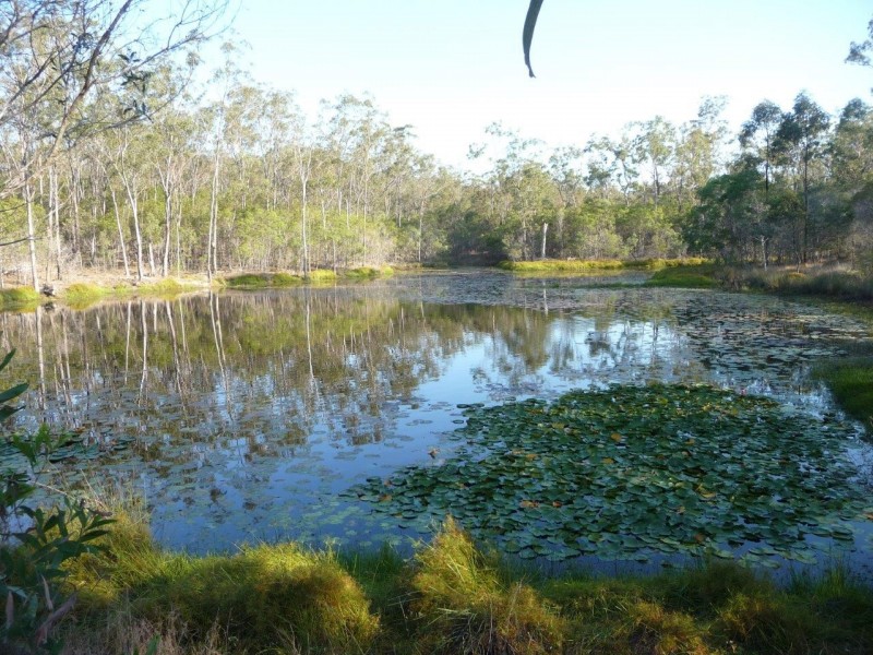 203 Mineral Road, Rosedale QLD 4674