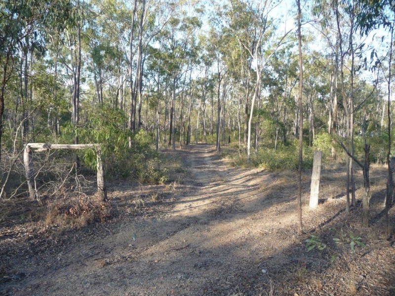 203 Mineral Road, Rosedale QLD 4674
