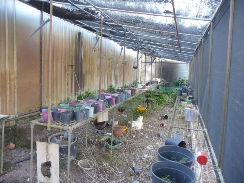 203 Mineral Road, Rosedale QLD 4674