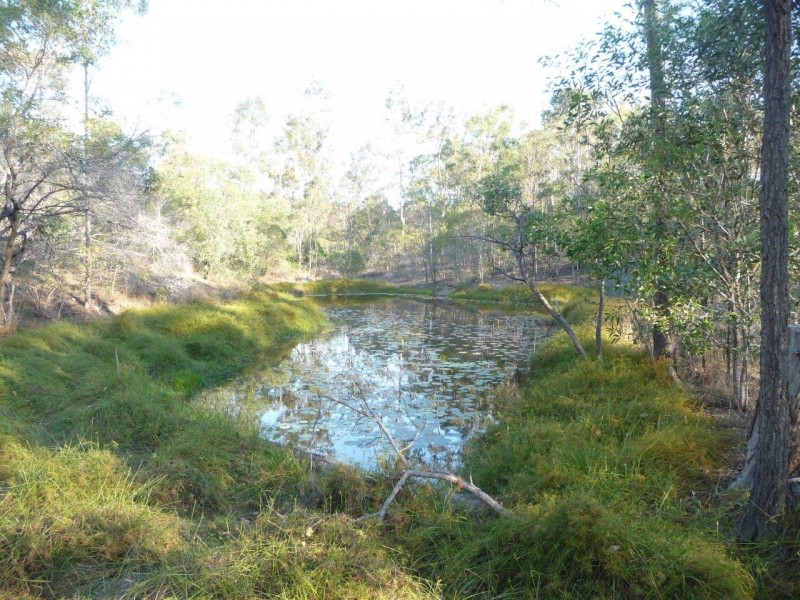 203 Mineral Road, Rosedale QLD 4674