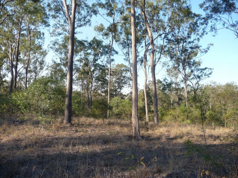 203 Mineral Road, Rosedale QLD 4674