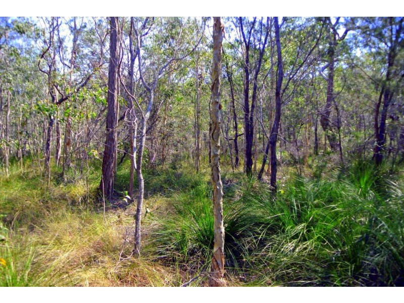 Agnes Water QLD 4677