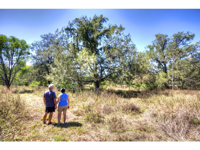 Lot 1 Round Hill Road, Captain Creek QLD 4677
