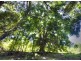 Lot 1 Round Hill Road, Captain Creek QLD 4677