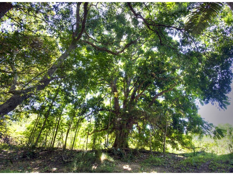 Lot 1 Round Hill Road, Captain Creek QLD 4677