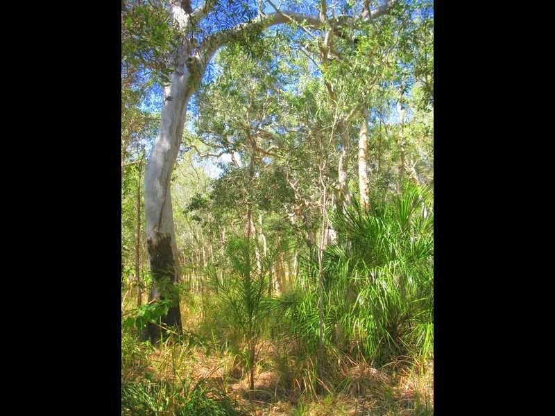 Agnes Water QLD 4677